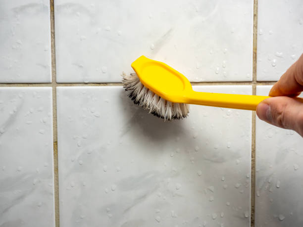 Best Mold Remediation for Schools in Buffalo, MN
